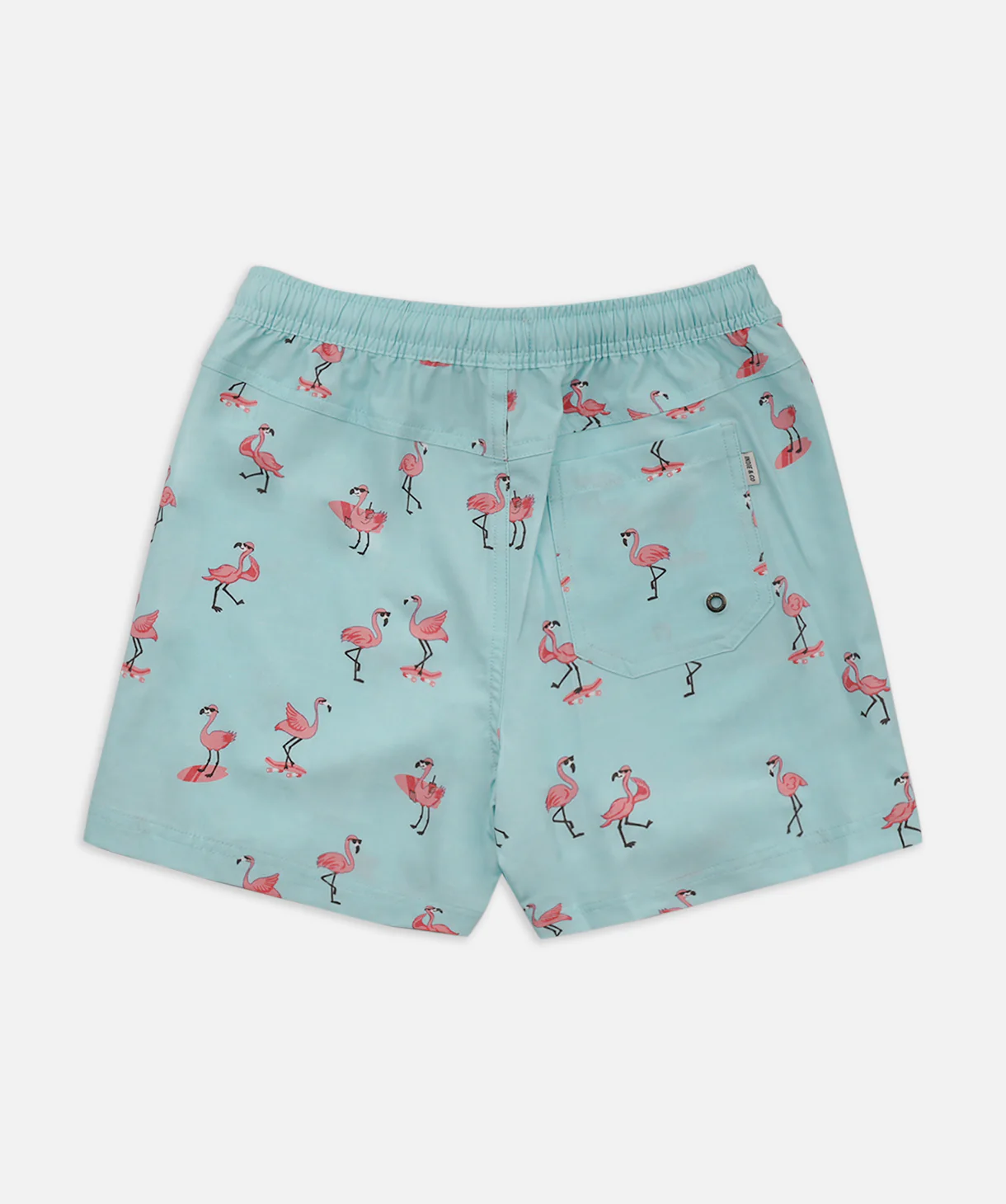 The Florida Trunk - Cyan - Image 4